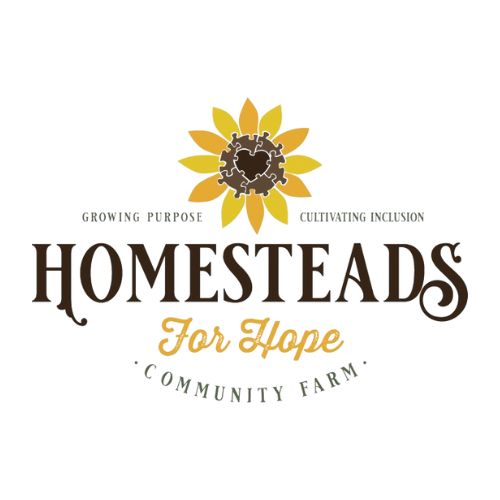 Bicentennial Jam on the Canal Music Festival - logo